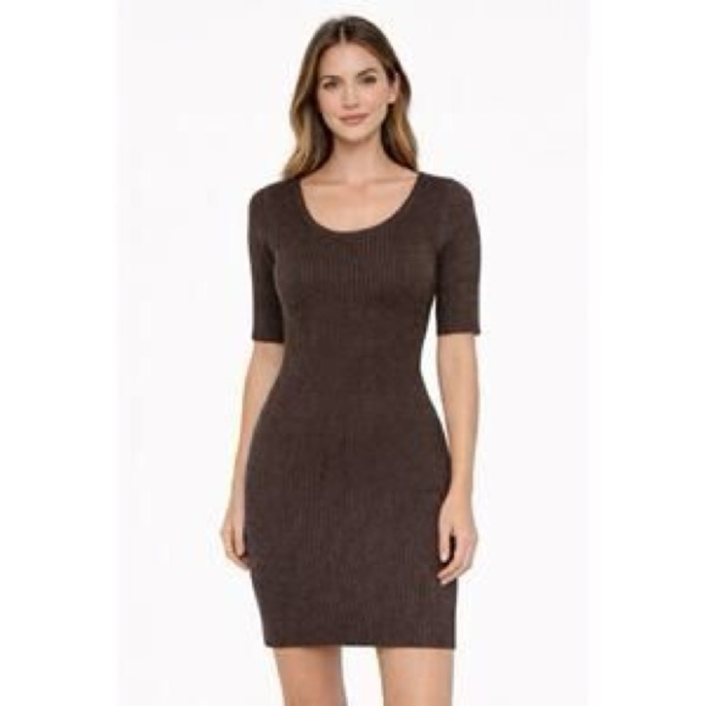 Michael Stars Chocolate Mini Dress